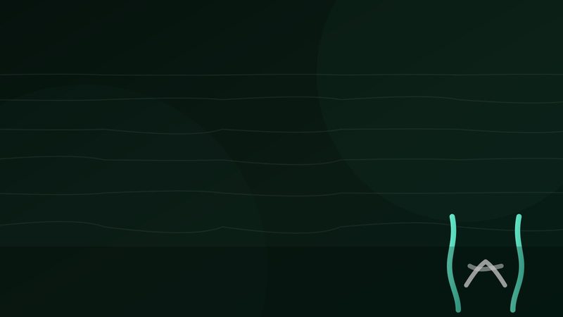 Defileul Crișului Repede