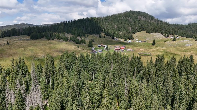 Bisericuța Călineasa